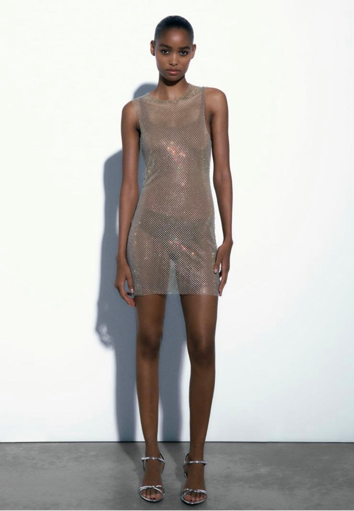 ZARA rhinestone mesh dress Can I Borrow it Babe ZARA rhinestone mesh dress Can I Borrow it Babe